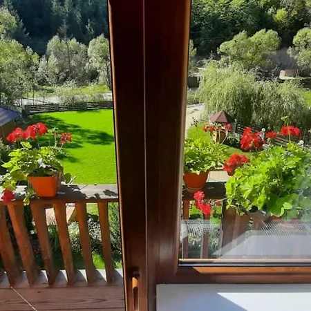 Ioana-horea Holiday home