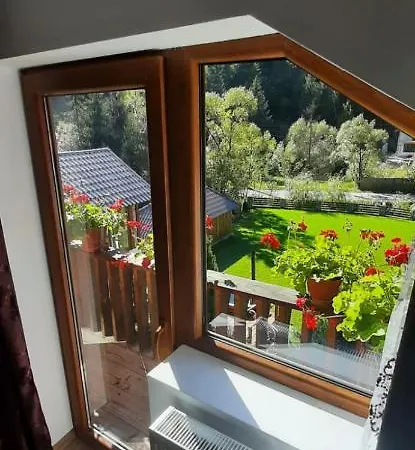 Ioana-horea Holiday home *