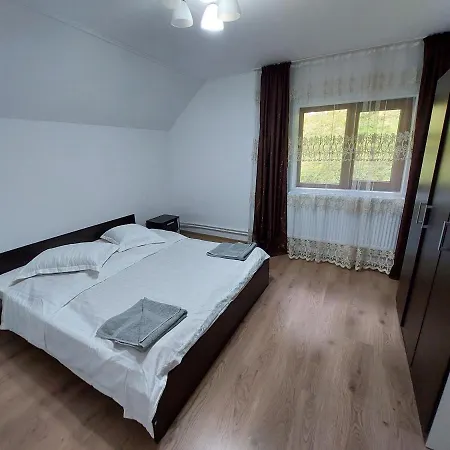 Ioana-horea Holiday home *
