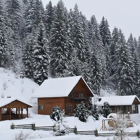 Holiday home Ioana-horea Arada