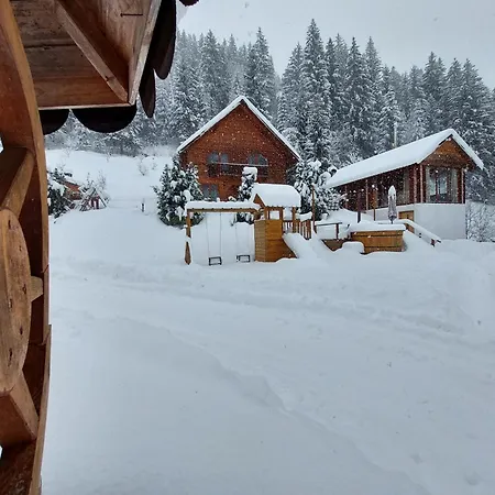Ioana-horea Holiday home Arada