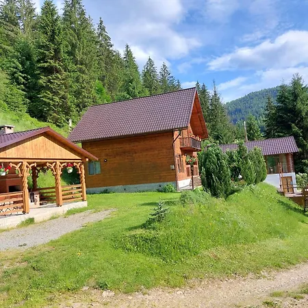 Holiday home Ioana-horea
